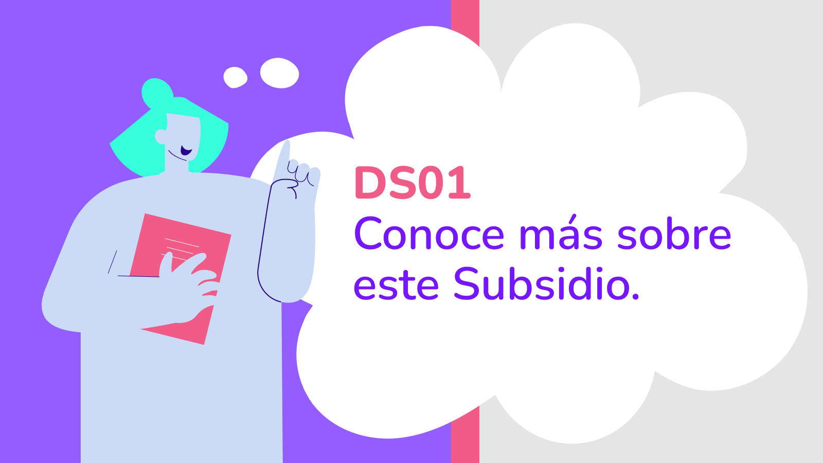 Subsidio DS1