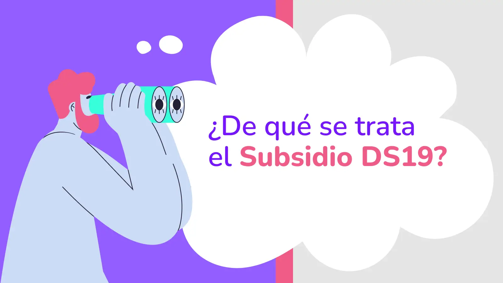 Subsidio DS19